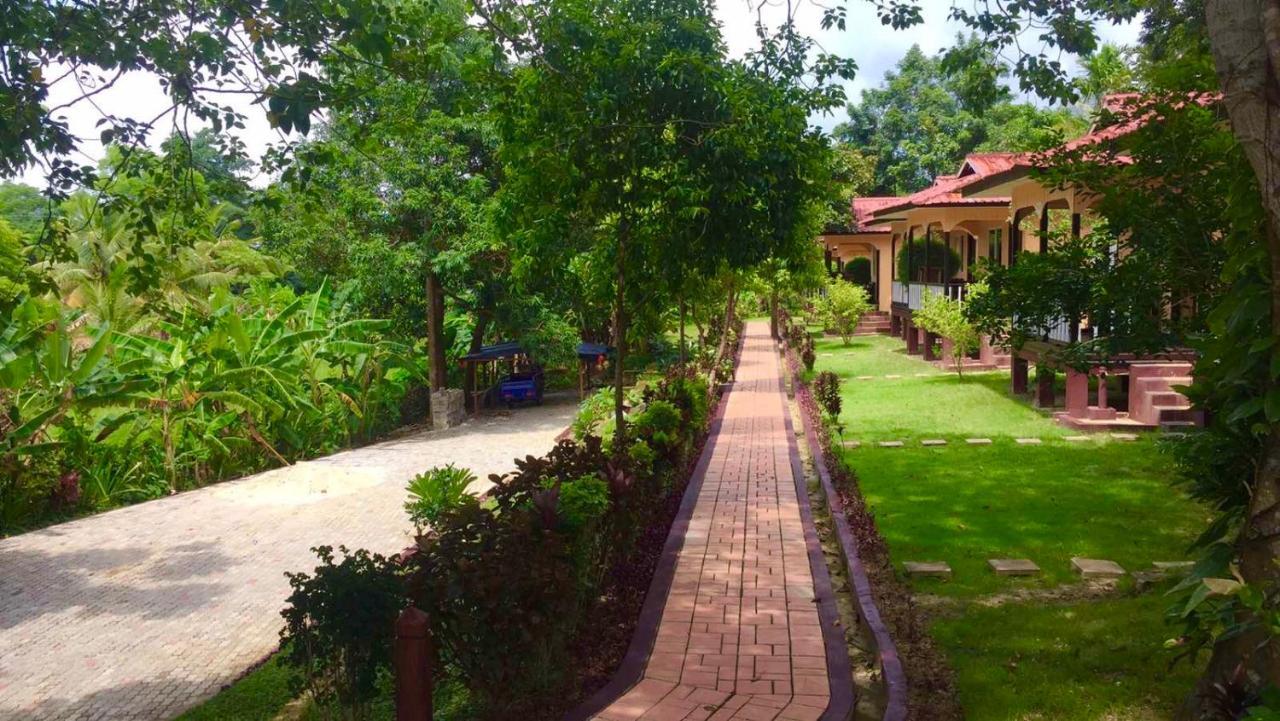 Hill Garden Hotel Chaungtha Zewnętrze zdjęcie